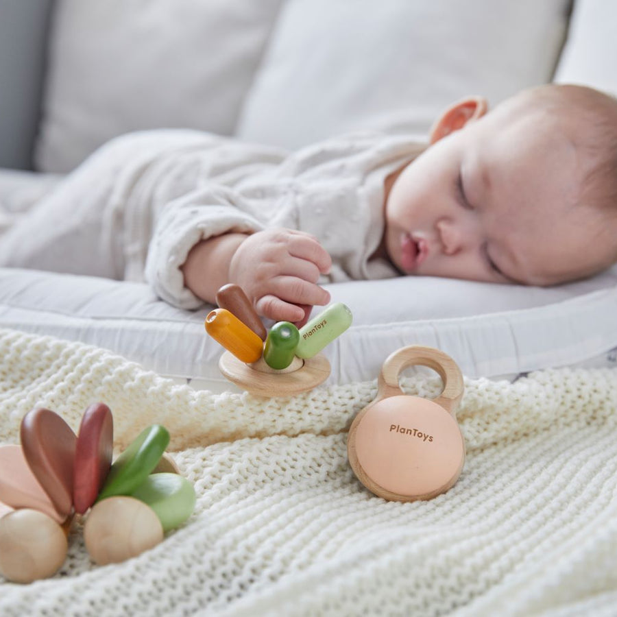 Baby's First Christmas Toys, 0-6 Months