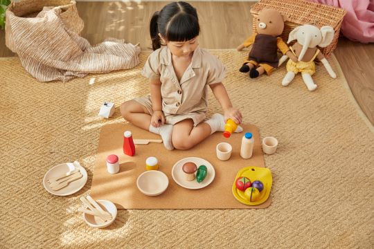 Our Top PlanToys Play Food Sets