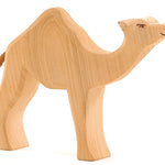 Ostheimer Dromedary Camel