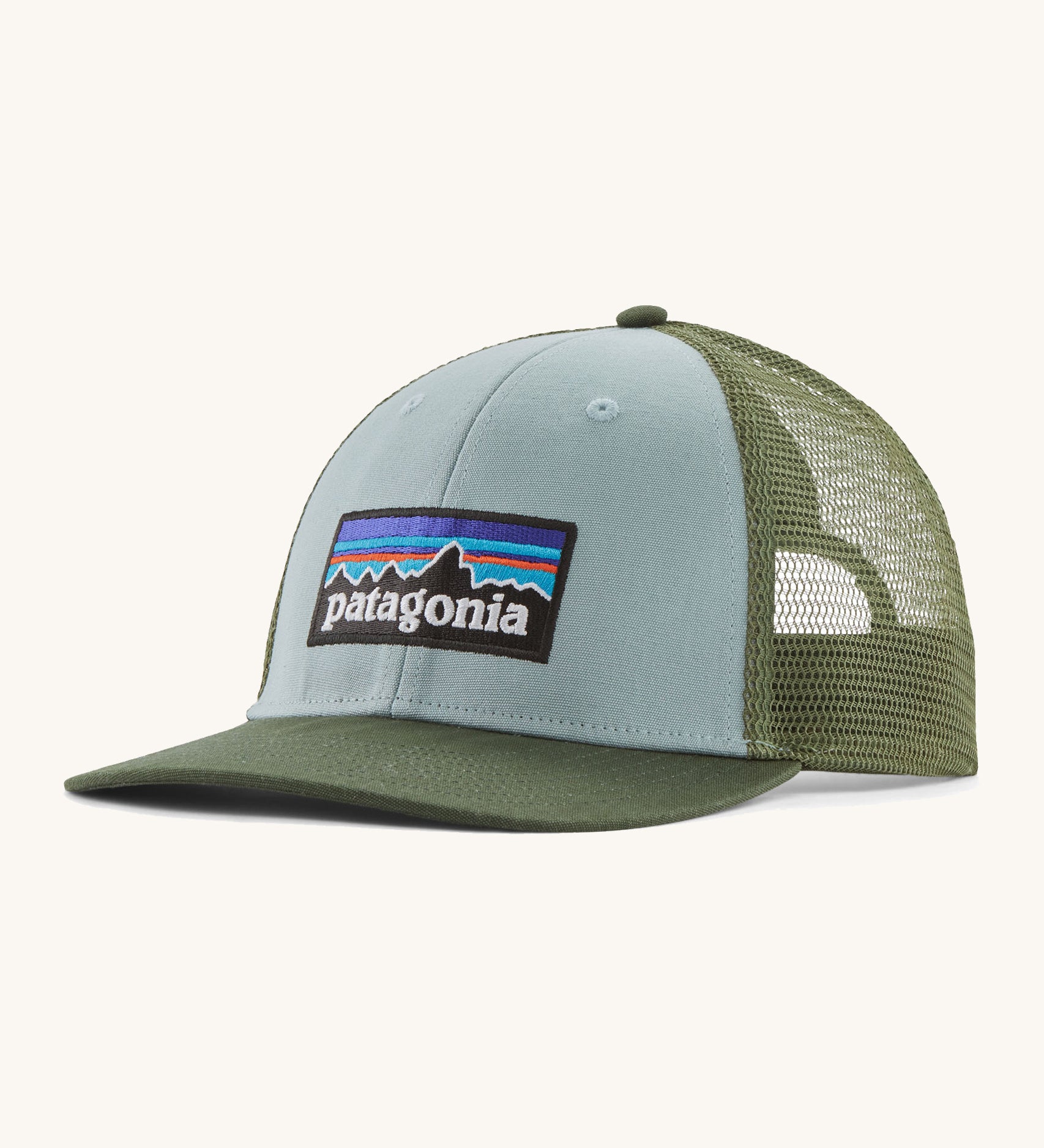  A light blue and green Patagonia trucker hat with the Patagonia logo on the front on a cream background. 