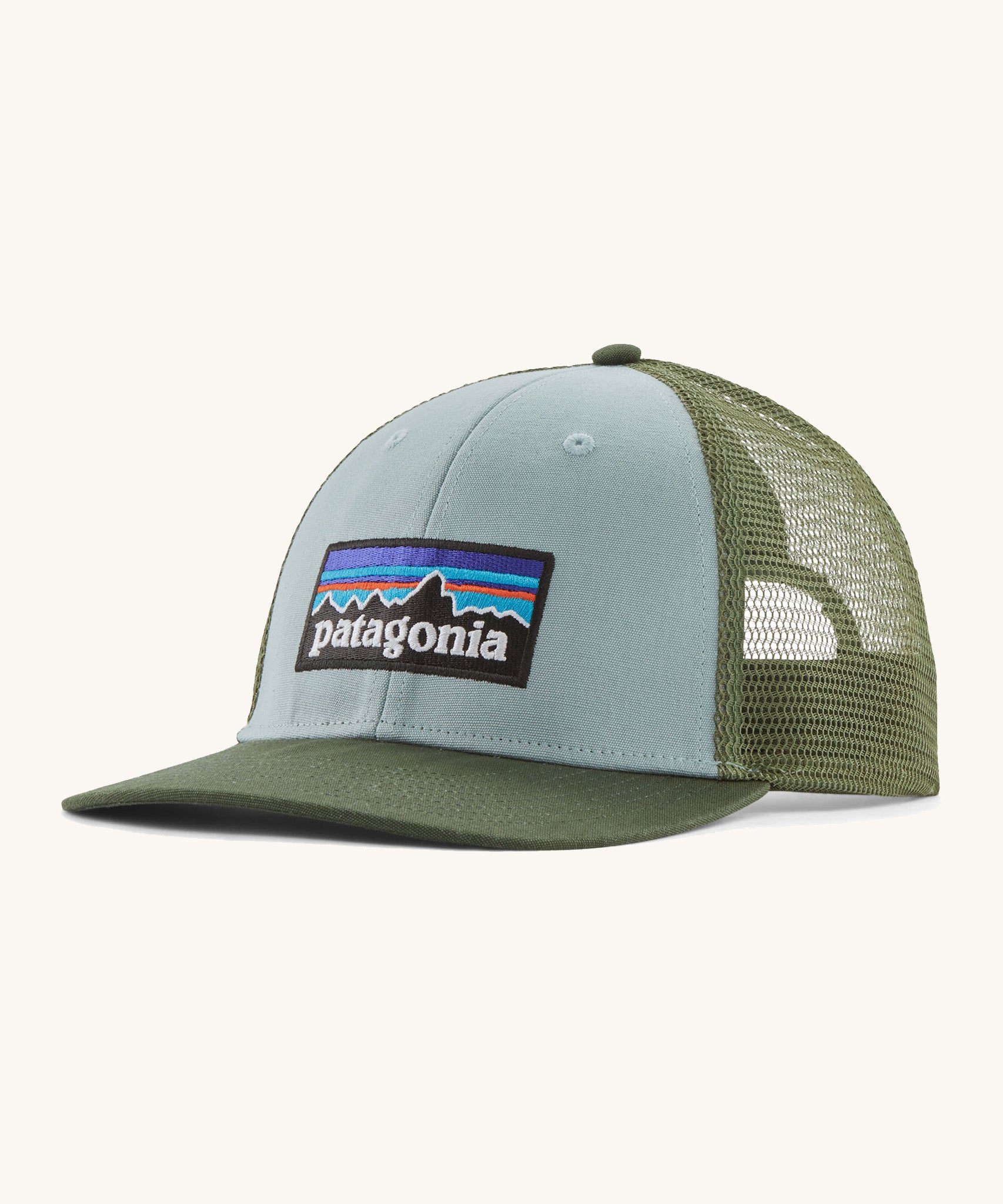  A light blue and green Patagonia trucker hat with the Patagonia logo on the front on a cream background. 