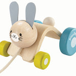 Plan Toys Hopping Rabbit