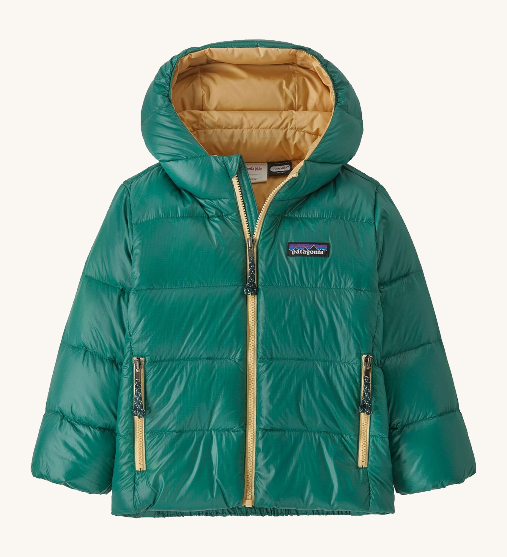 Green kids down Patagonia coat with gold trim on a cream background