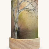 The Birch Tree illustration by Baukje Exler sat in a Toverlux Magic Lantern base, on a cream background