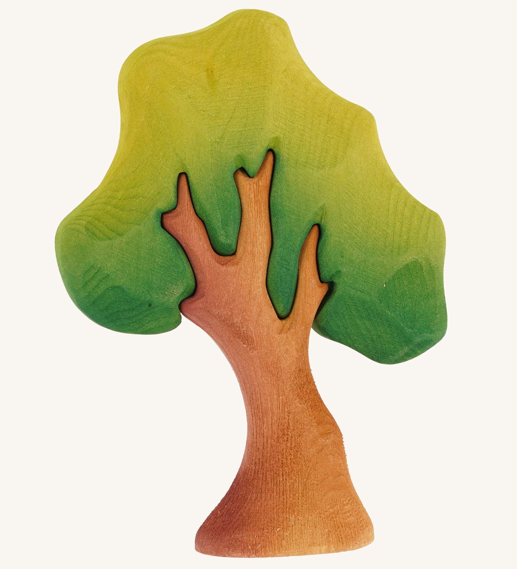 A small Bumbu wooden oak tree on a plain background. 