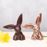 Two Cocoa Loco organic Fairtrade chocolate rabbits, one marbled, one dark chocolate. Displayed with bright daffodils for an Easter scene.