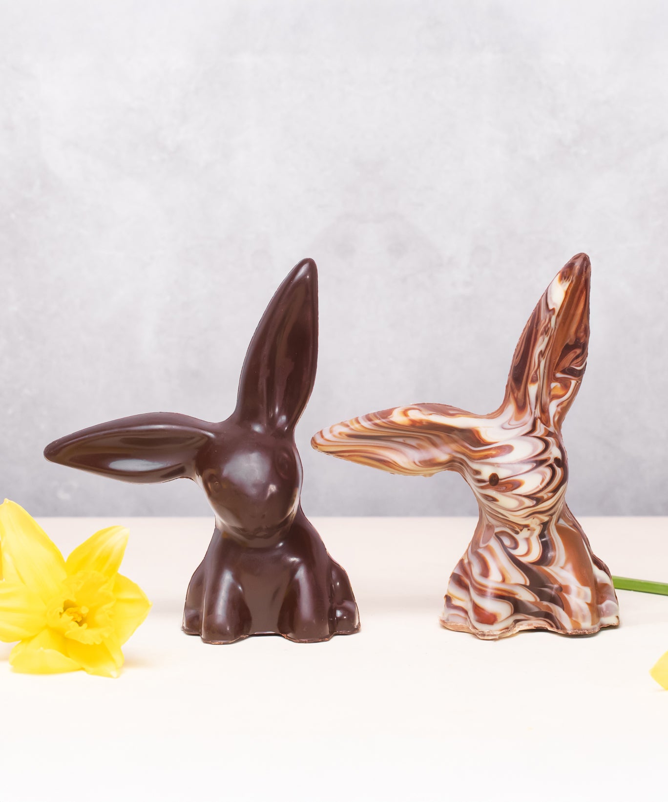 Two Cocoa Loco organic Fairtrade chocolate rabbits, one marbled, one dark chocolate. Displayed with bright daffodils for an Easter scene.