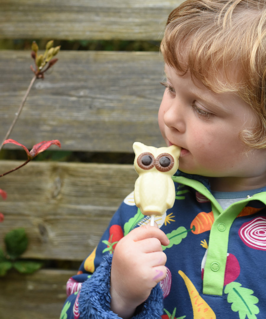 Cocoa Loco Fairtrade white chocolate owl lolly in hand of young boy outside. He's in a garden and is wearing a dark blue, vegetable patterned fleece.