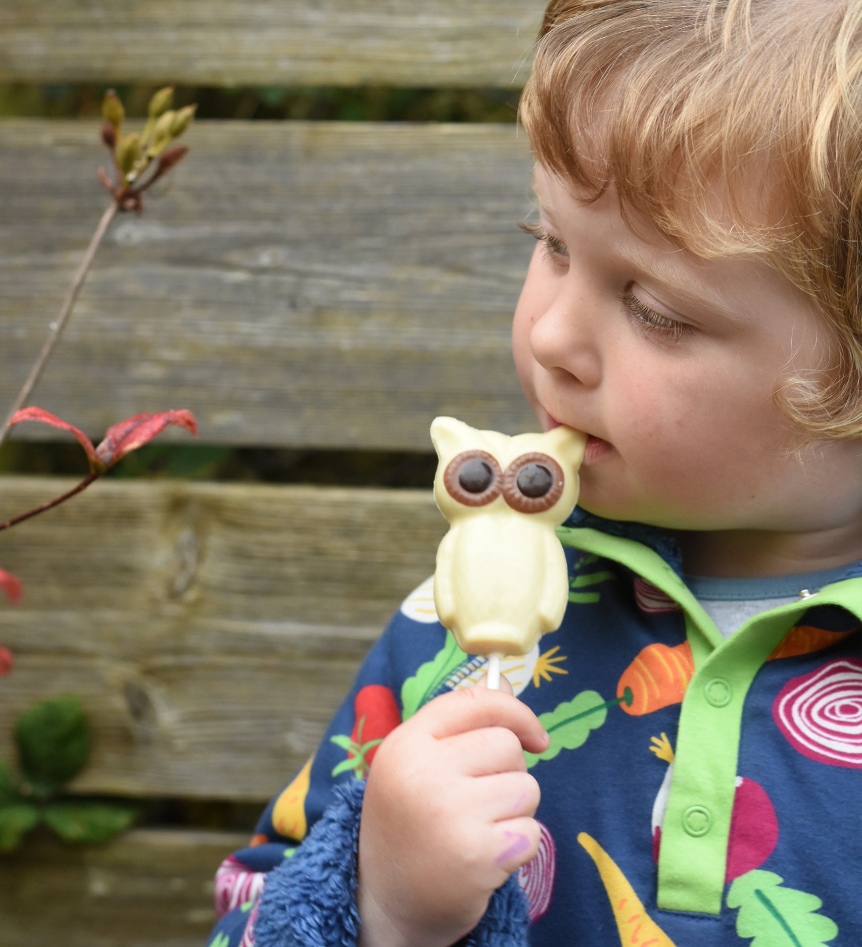 Cocoa Loco Fairtrade white chocolate owl lolly in hand of young boy outside. He's in a garden and is wearing a dark blue, vegetable patterned fleece.