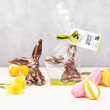 Cocoa Loco organic Fairtrade marbled chocolate rabbit, with one ear up and one down. Another sits beside it in plastic-free packaging, surrounded by colourful mini eggs and daffodils.