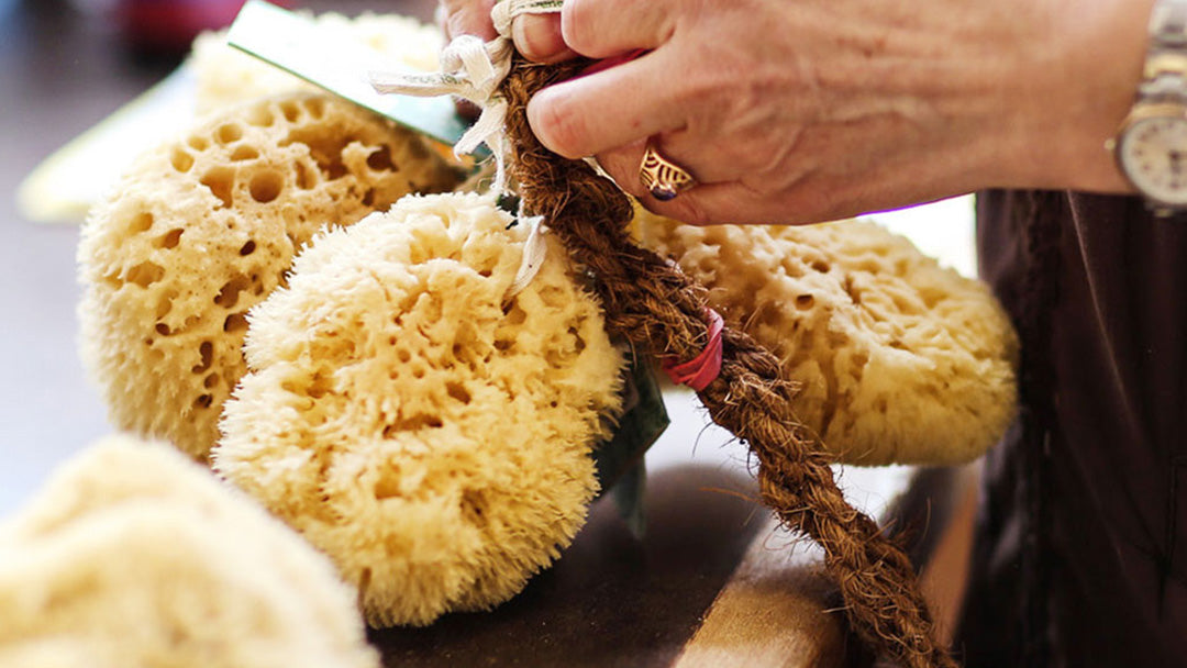 Person handmaking a Croll & Deneke sponge