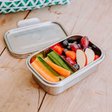 Elephant Box Clip & Seal Lunch Box - 800ml