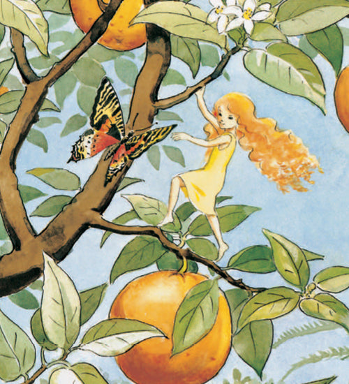 An illustrated page from The Sun Egg by Elsa Beskow. The image shows the fairy in a yellow dress, climbing an orange tree with a butterfly flying next to it.