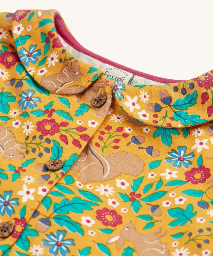 A closer look at the buttons and collar on the Frugi Autumn Dress - Autumn Friends