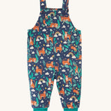 Frugi Parsnip Dungaree - Roarsome!