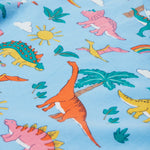 Frugi blue skater dress dinoland print detail