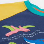 Frugi Renny Raglan T-Shirt - Dino