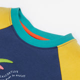 Frugi Renny Raglan T-Shirt - Dino