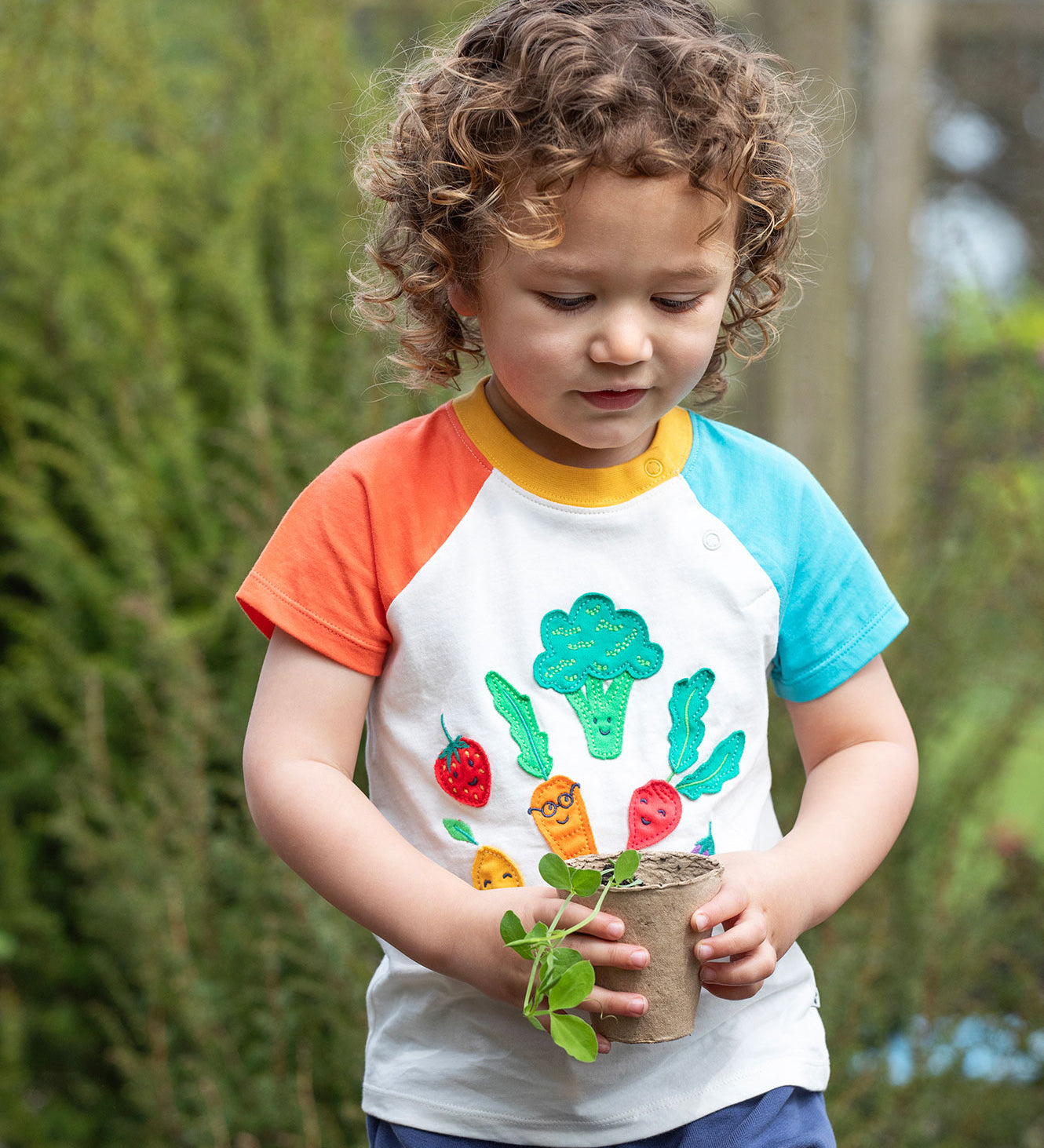 Frugi white short sleeve top, blue and red sleeves veg patch design 