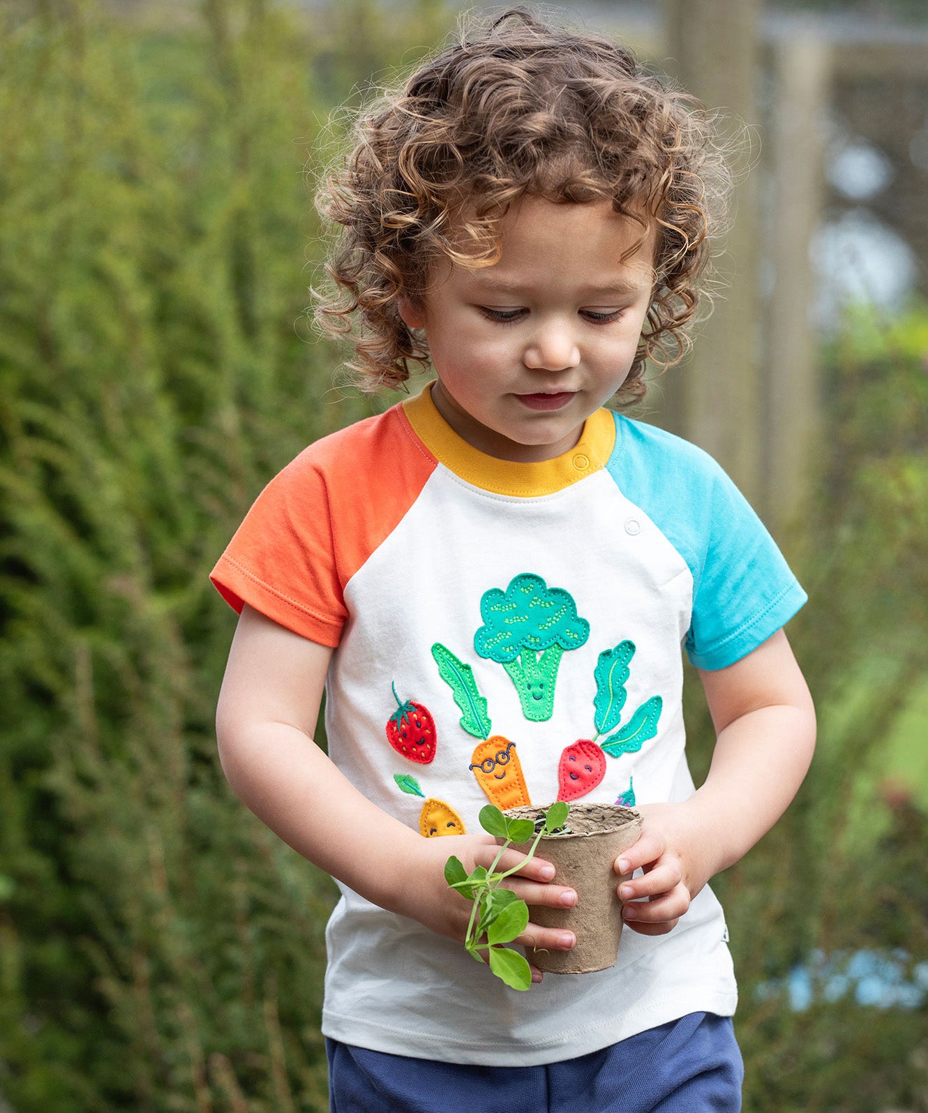 Frugi white short sleeve top, blue and red sleeves veg patch design 