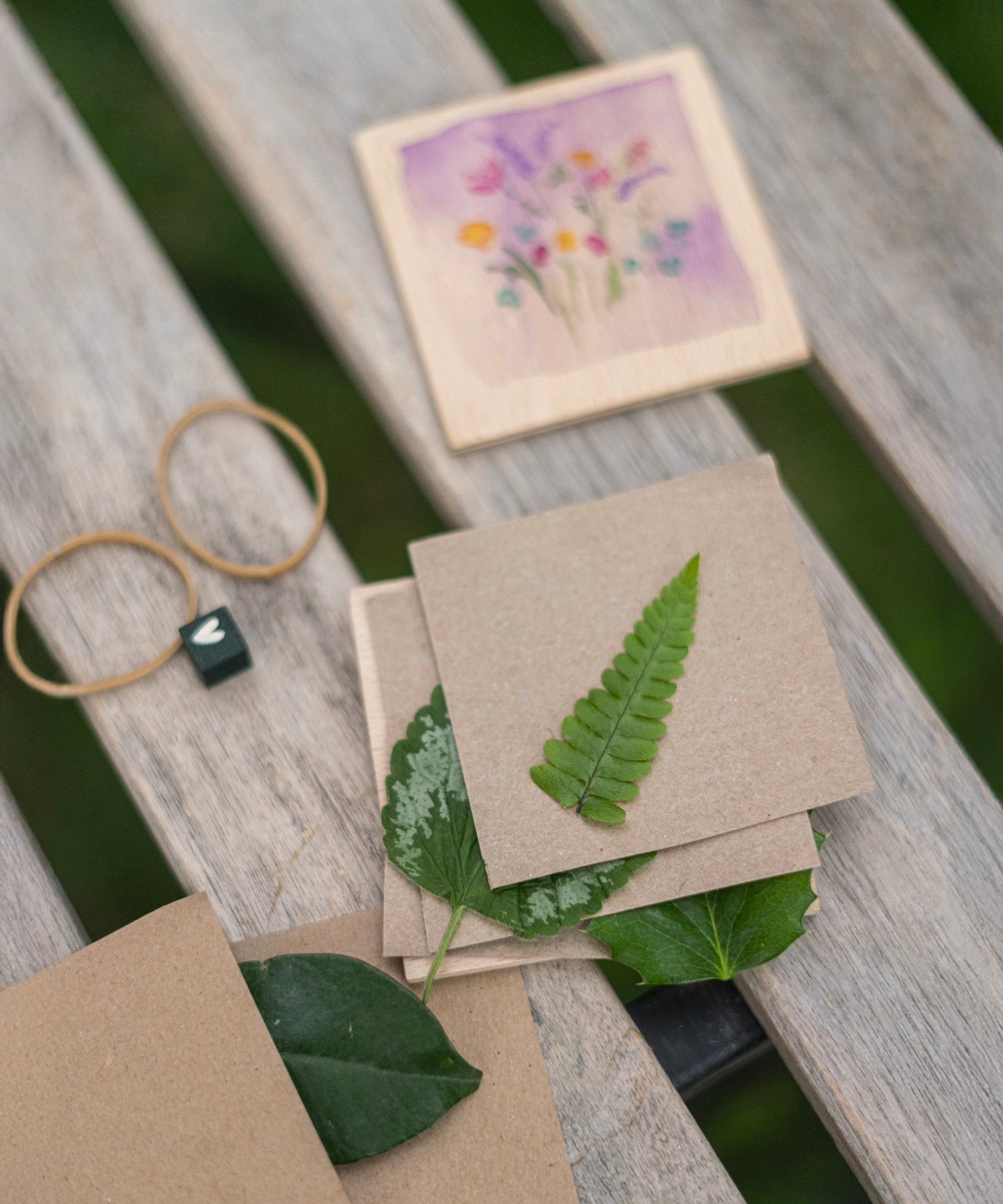 A close up of a green leaf inside the flower press from the Grapat Advent Calendar 2024, showing how to use the press.