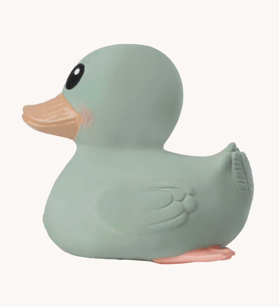 Hevea Mini Kawan Natural Rubber Duck