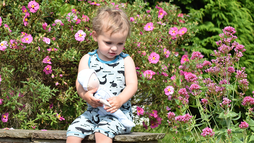 A toddler cradling an Imajo ragdoll with a flower bush in the background