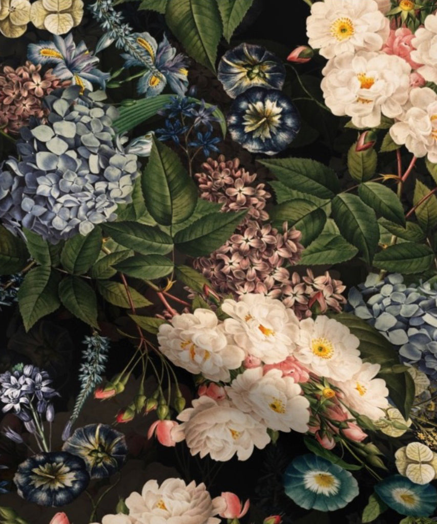 Vintage Summer is a beautiful Victorian botanical floral print in soft organic cotton featuring hydrangeas, lilac and roses on a black background.