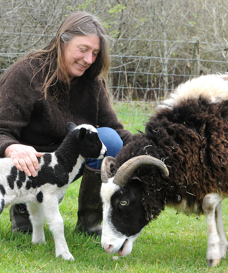 Jacob sheep and a small black and white lamb with a farmer