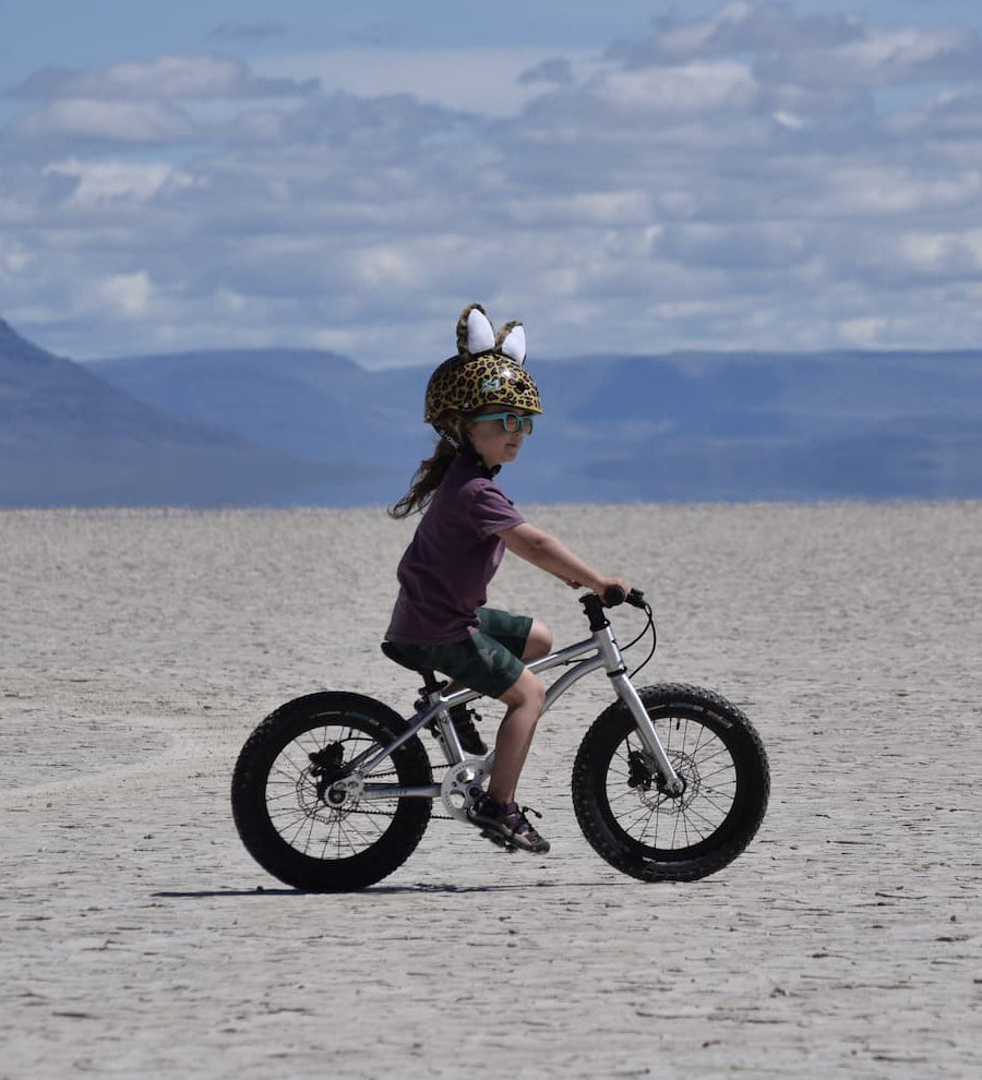 A child riding the Early Rider Seeker X16 16" Bike - Brushed Aluminium on sandy ground and mountain background