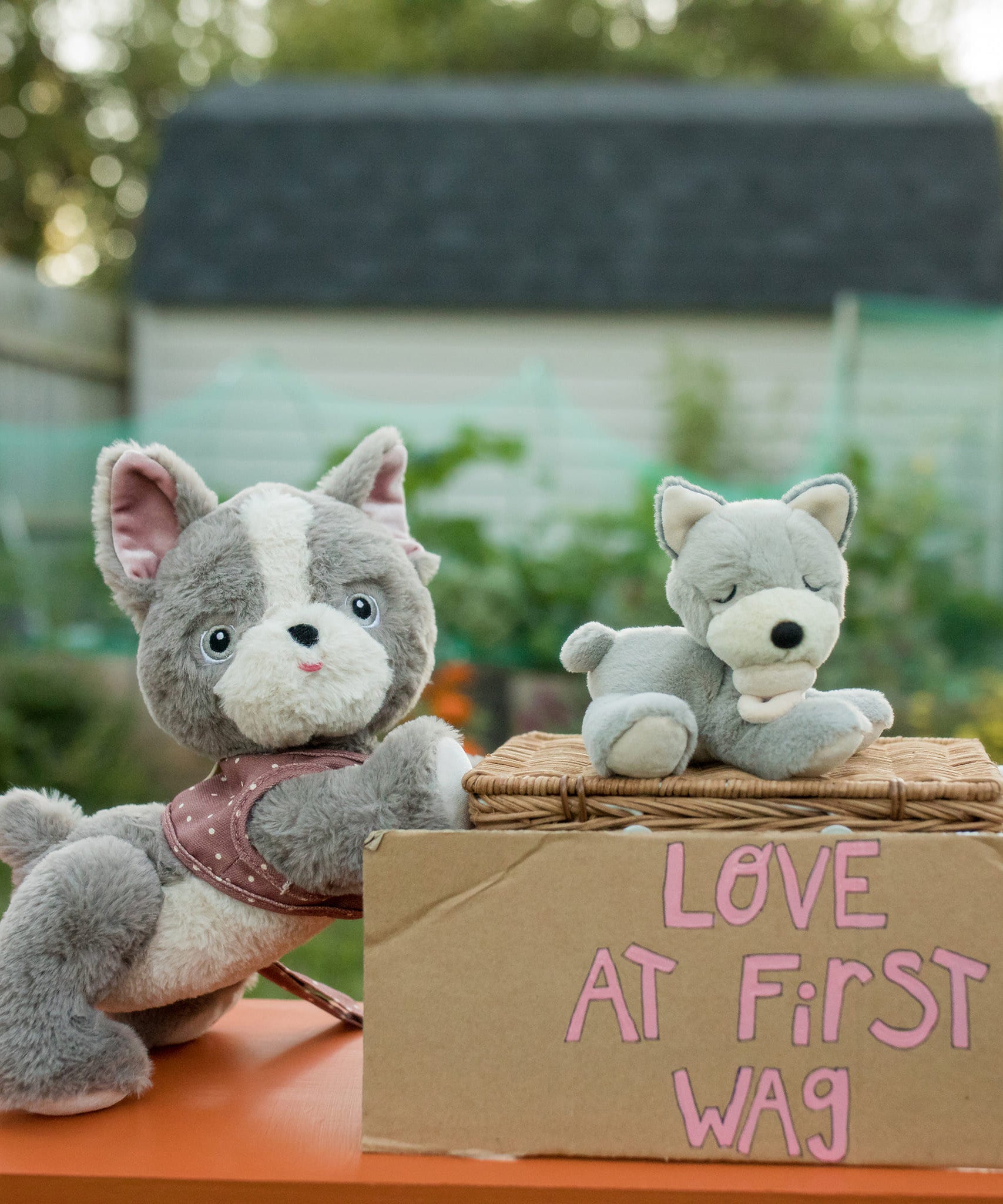 A grey and white gizmo Olli Ella dinkum dog standing next to banjo the puppy that's lying on a Olli Ella natural basket.