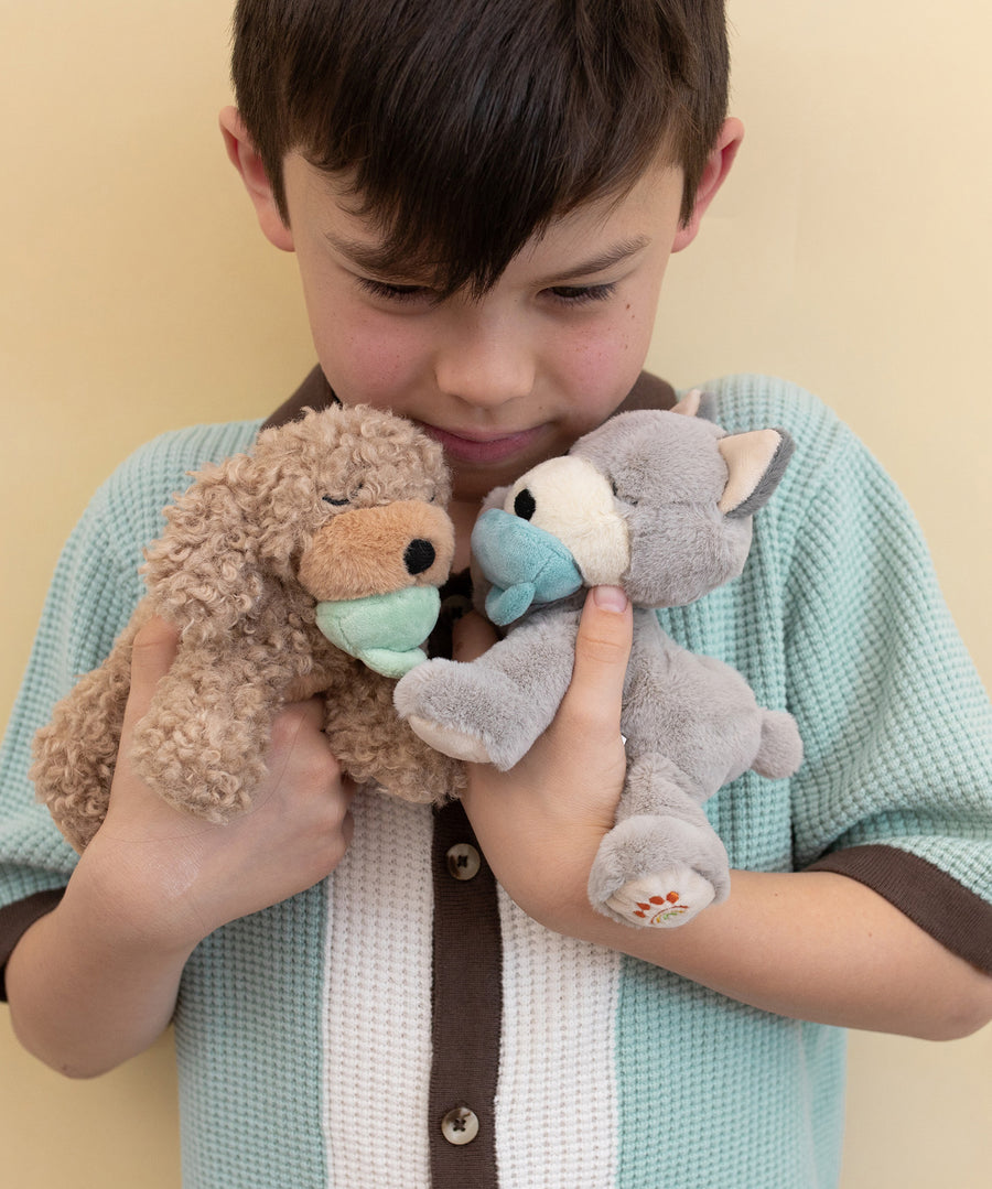 A child holding the grey and brown Olli Ella dinkum puppies