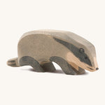 Ostheimer Badger with Head Down