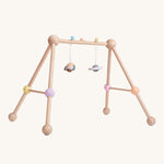 PlanToys Pastel Play Gym