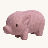 PlanToys Pig