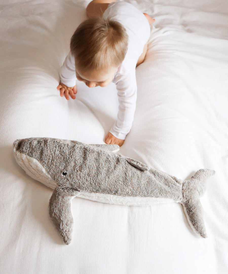 A small child crawling towards the Senger Large Cuddly Whale Toy which is laid on a white sheet