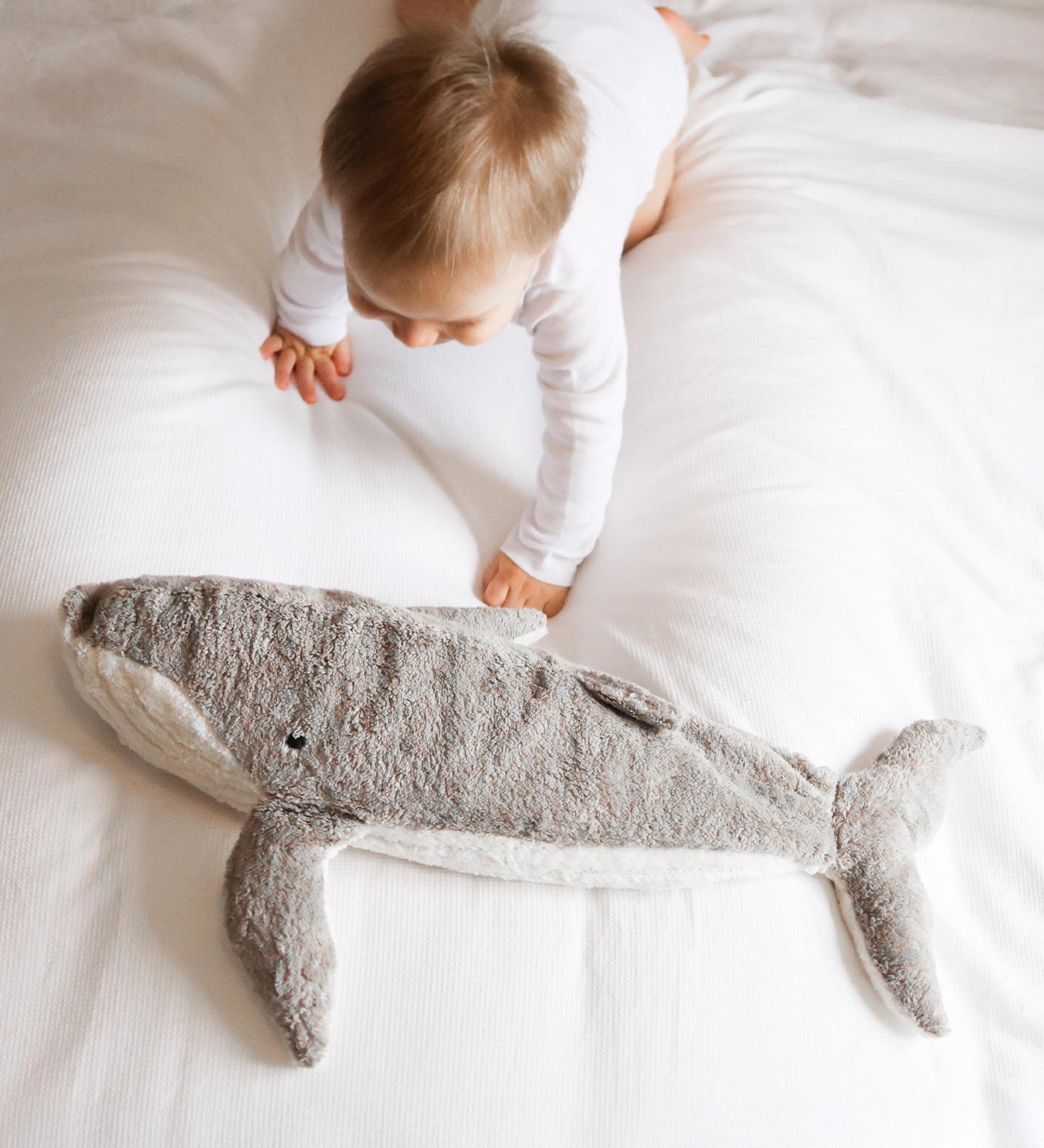 A small child crawling towards the Senger Large Cuddly Whale Toy which is laid on a white sheet