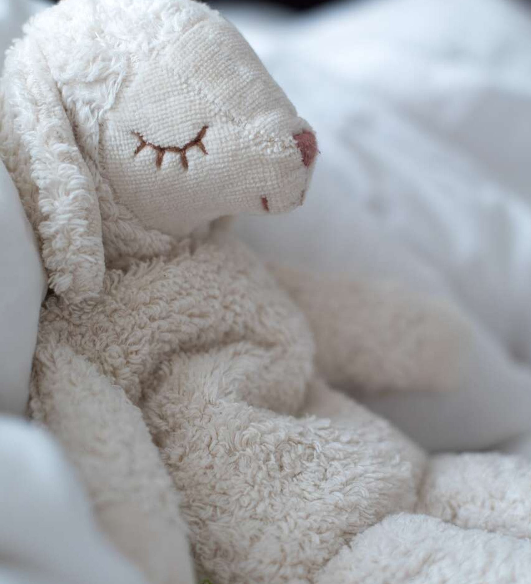 Senger Small Cuddly White Sheep, sat peacefully on a white blanket