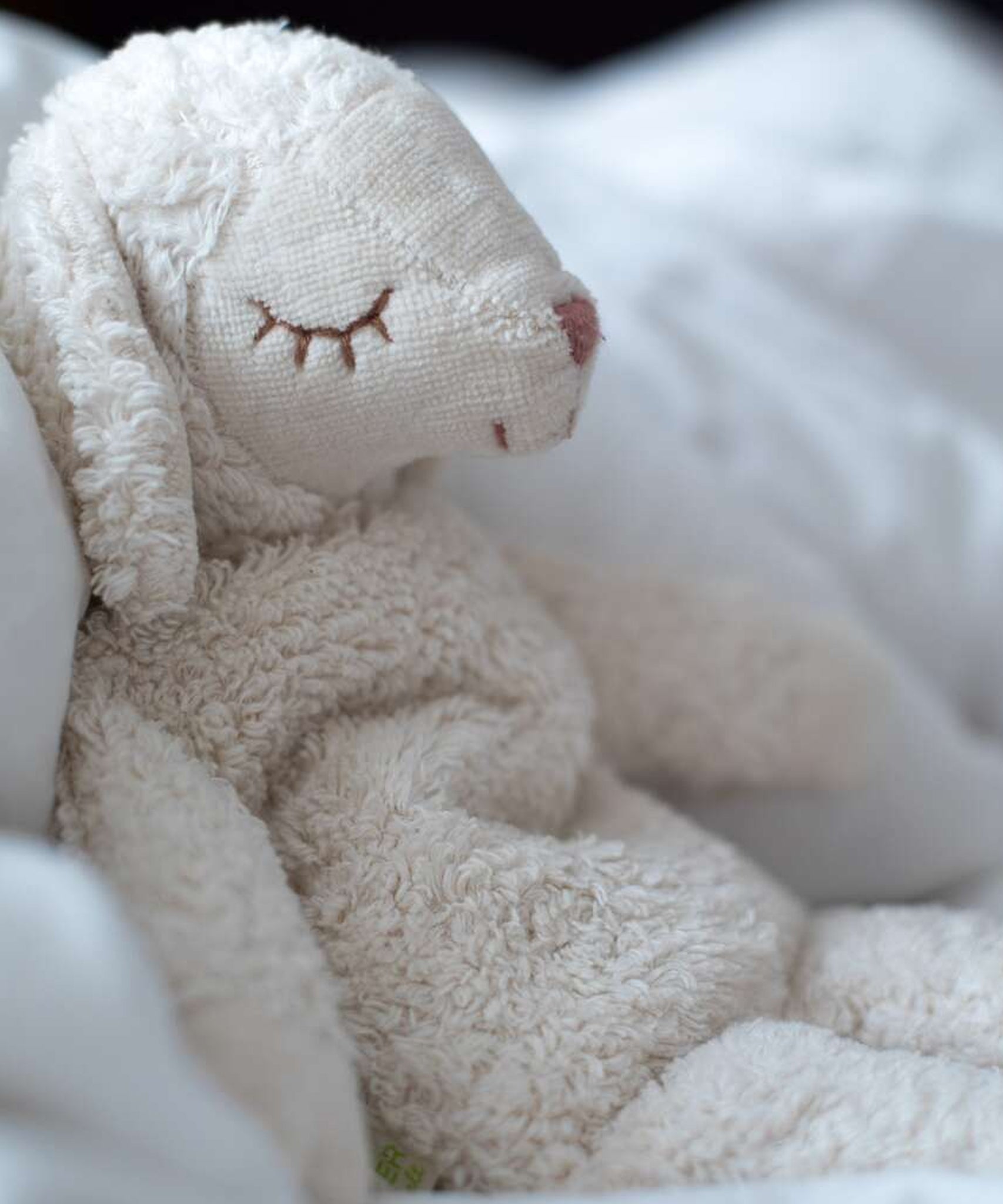 Senger Small Cuddly White Sheep, sat peacefully on a white blanket