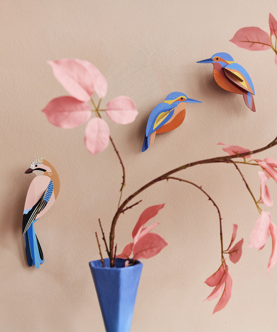 The Studio Roof Kingfisher and Jay birds on a peach wall, with a pink plant in a blue vase, at the foreground of the image