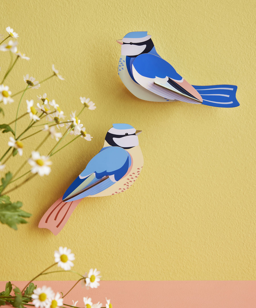 The Studio Roof Blue Tits Cardboard bird Modelon a yeallow background, with daisy flowers on the left hand side of the photo