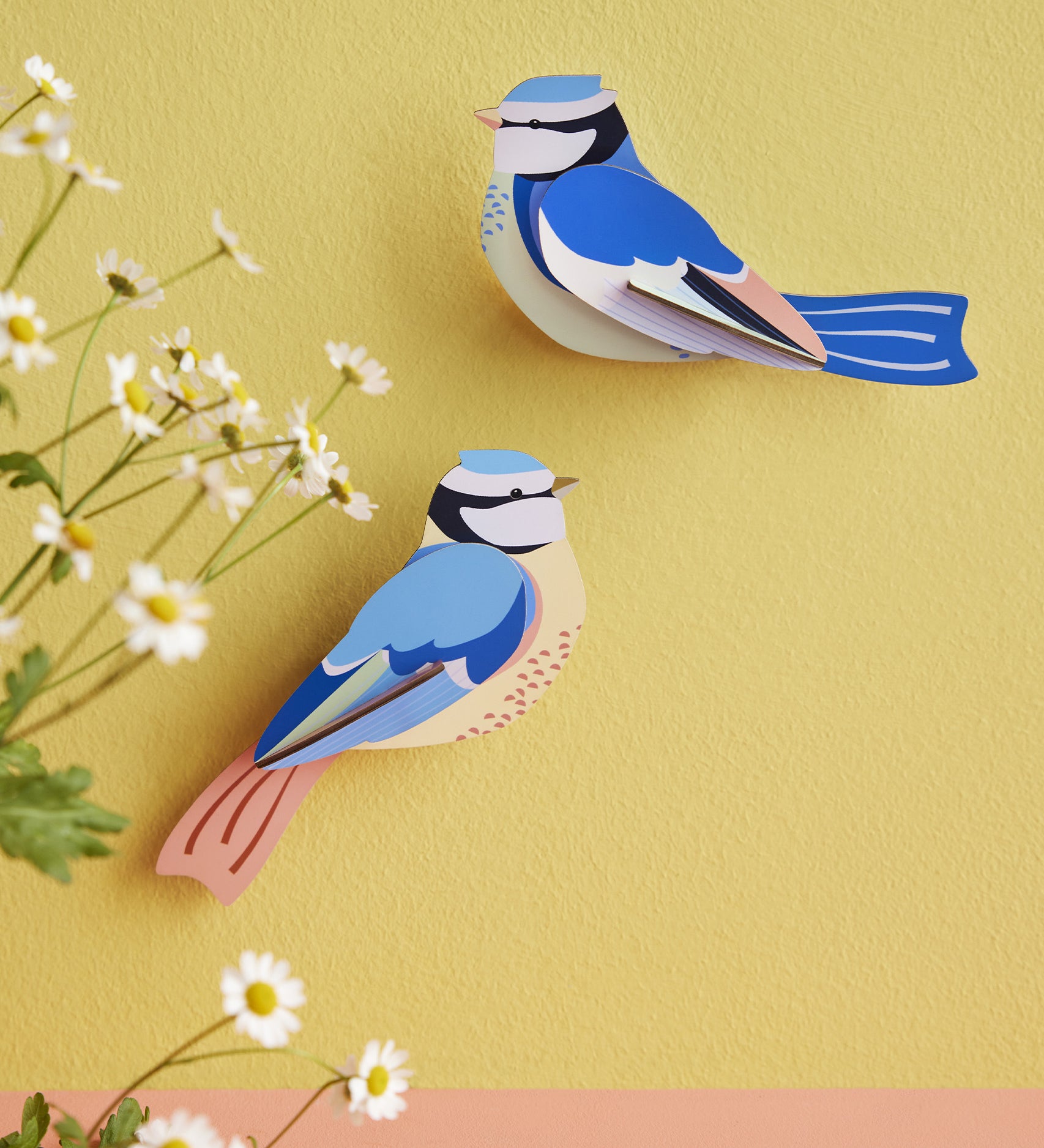 The Studio Roof Blue Tits Cardboard bird Modelon a yeallow background, with daisy flowers on the left hand side of the photo