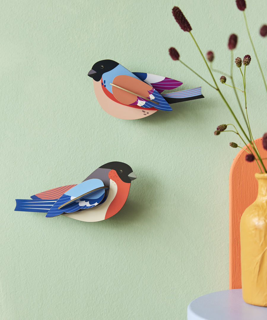 The Studio Roof Finches Cardboard bird Models, on a pale green background. On the right hand side of the image is a yellow and orange vase with delicate plant stems inside. The vase is sat on a light grey shelf