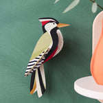 The Studio Roof Woodpecker Cardboard Model is set on a dark green background, with a peach ornament to the right hand side of the image