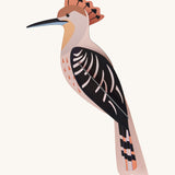 Studio Roof Cardboard Model - Hoopoe