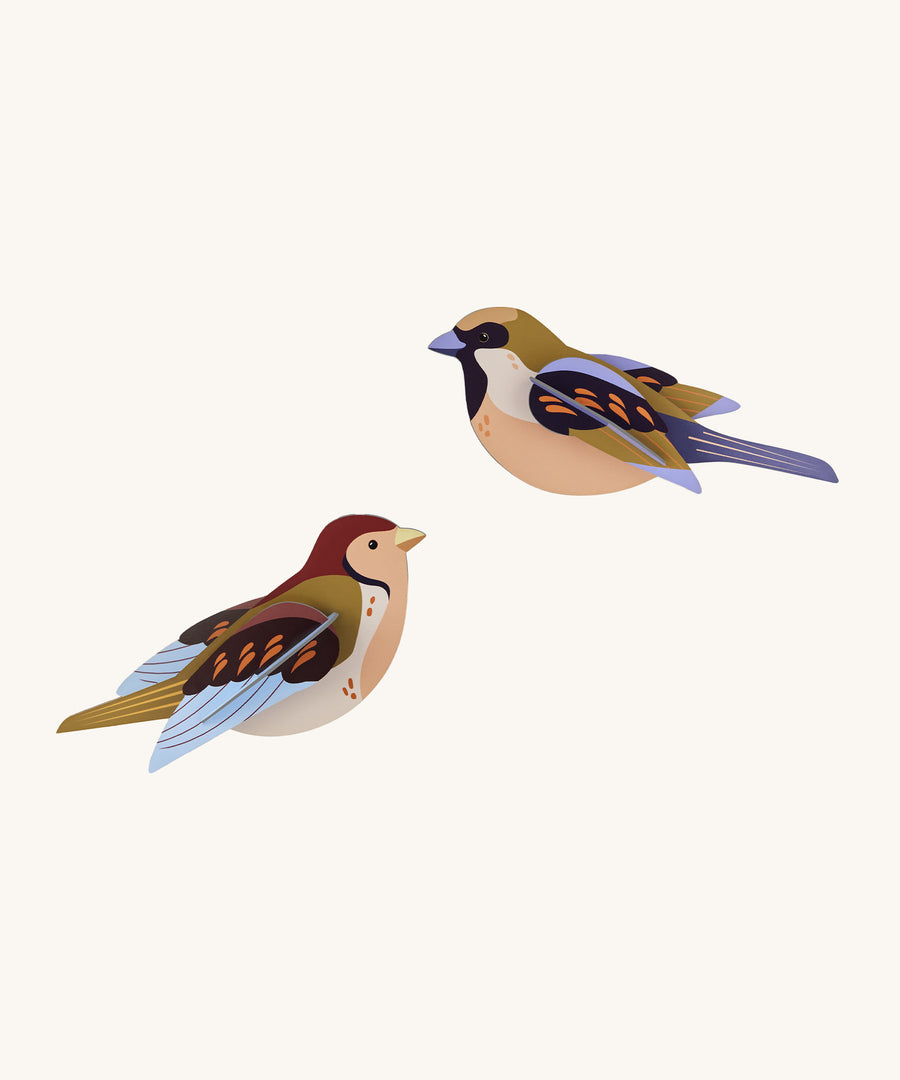 Studio Roof Sparrows Cardboard Model of two colourful birds on a cream background