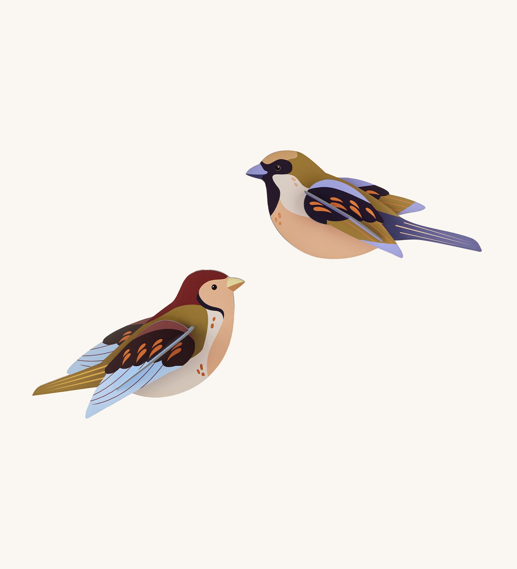 Studio Roof Sparrows Cardboard Model of two colourful birds on a cream background