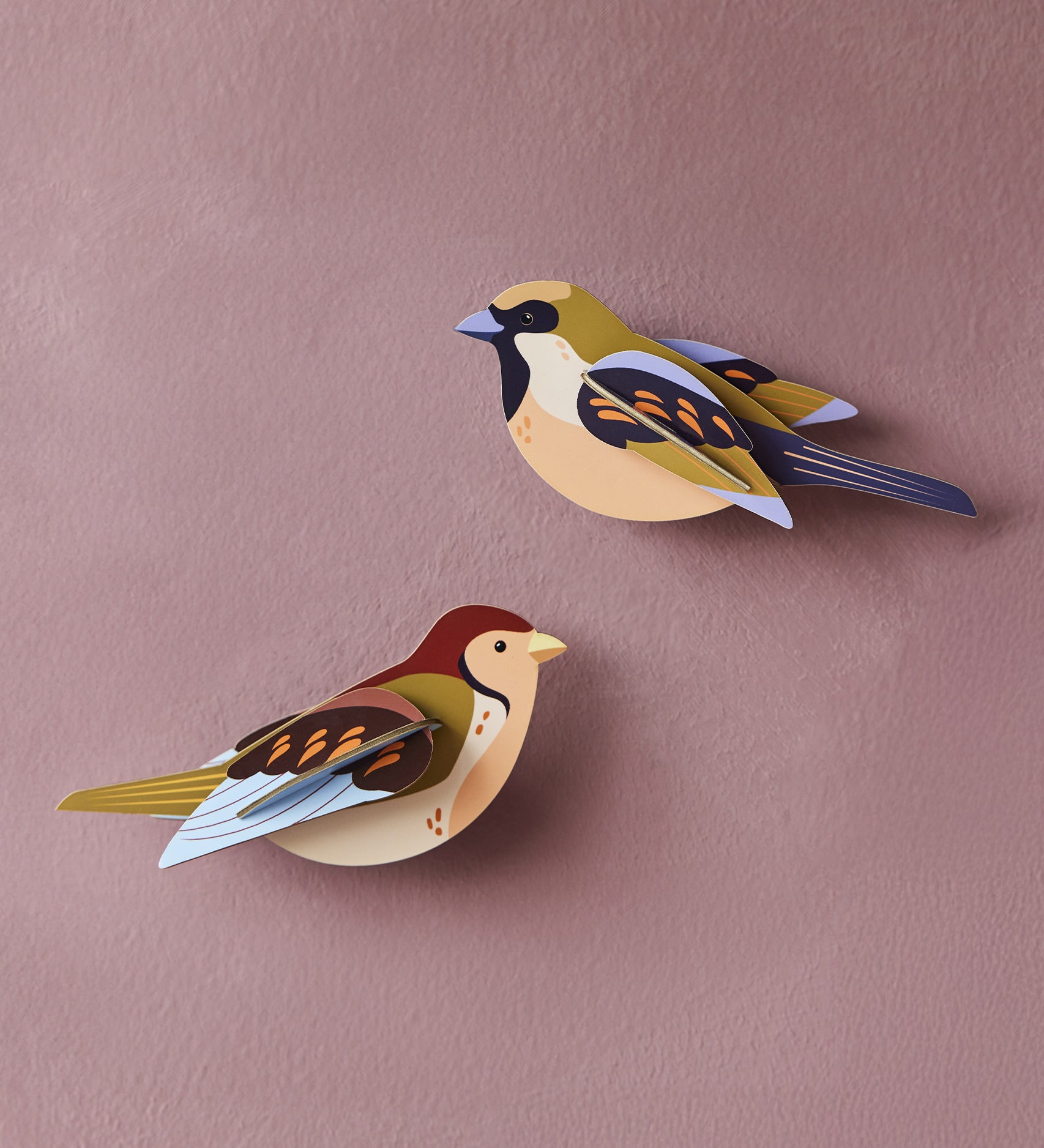 Studio Roof Sparrows Cardboard Model of two colourful birds on a pink background