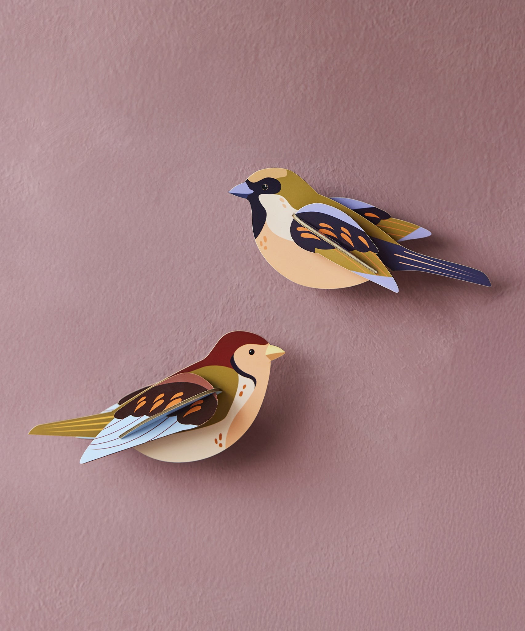 Studio Roof Sparrows Cardboard Model of two colourful birds on a pink background