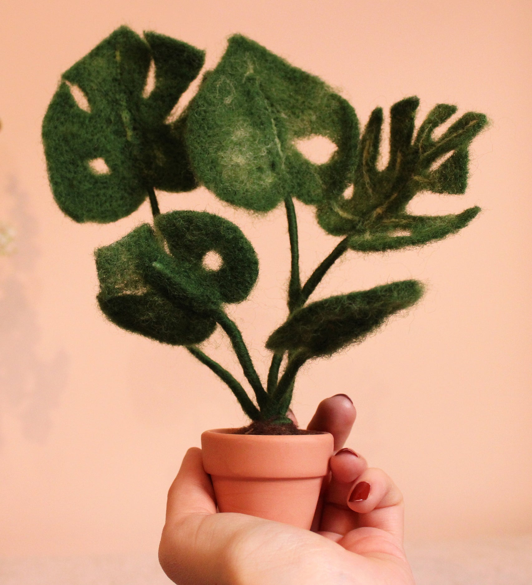 The Makerss - Monstera Plant Small Needle Felt Kit being held in a hand